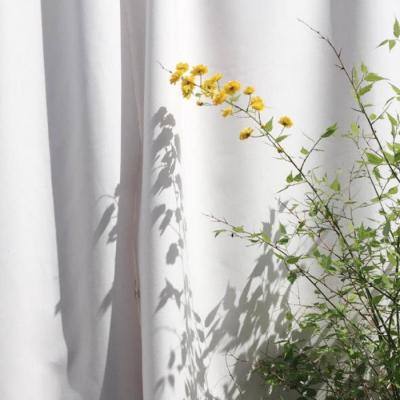 爱体育官方网站下载手机版截图